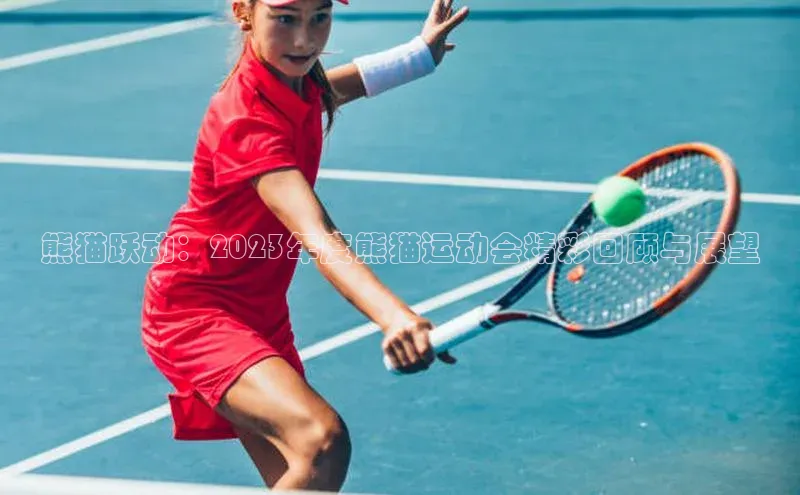 熊猫跃动：2023年度熊猫运动会精彩回顾与展望