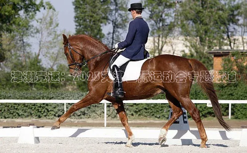 津潮竞速：2023天津国际运动会专题报道